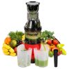 Cold Press Juicer Machine 300W Electric Slow Masticating Juicer for Whole Vegetable and Fruit with Reverse Function 2 Containers Cleaning Brush C